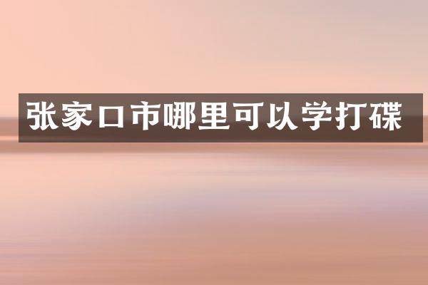 张家口市哪里可以学打碟