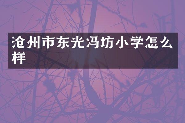 沧州市东光冯坊小学怎么样