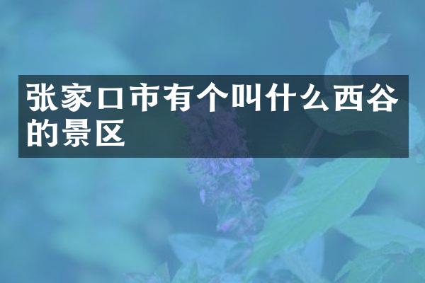 张家口市有个叫什么西谷的景区