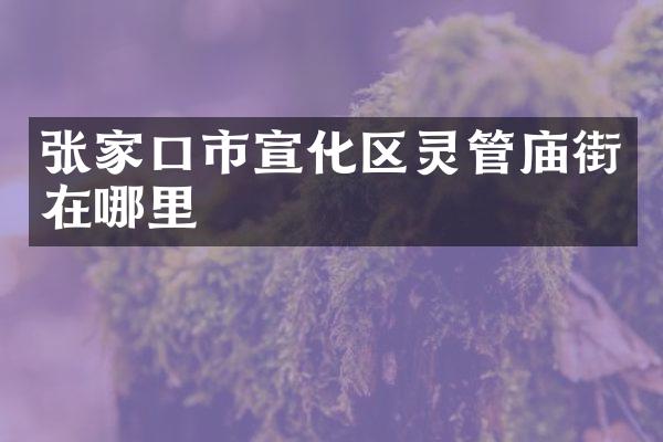 张家口市宣化区灵管庙街在哪里