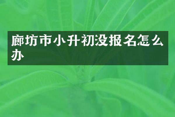 廊坊市小升初没报名怎么办