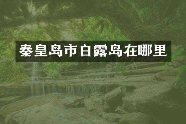 秦皇岛市白露岛在哪里