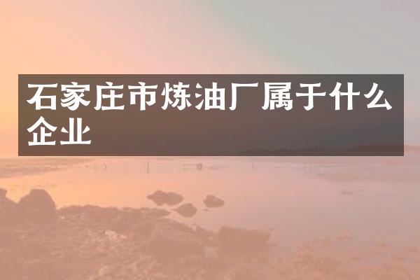 石家庄市炼油厂属于什么企业