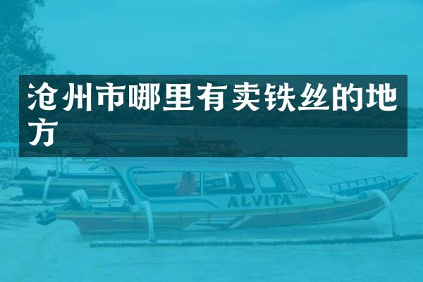 沧州市哪里有卖铁丝的地方