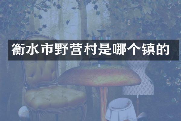 衡水市野营村是哪个镇的