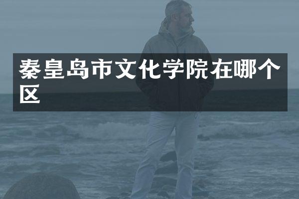 秦皇岛市文化学院在哪个区