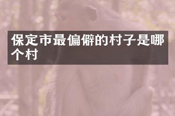 保定市最偏僻的村子是哪个村