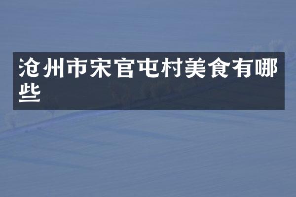 沧州市宋官屯村美食有哪些