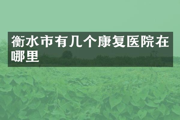 衡水市有几个康复医院在哪里