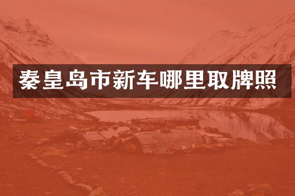 秦皇岛市新车哪里取牌照