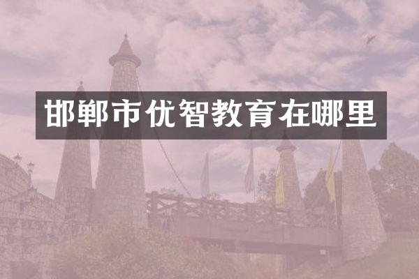 邯郸市优智教育在哪里
