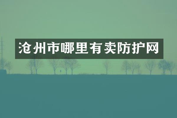沧州市哪里有卖防护网