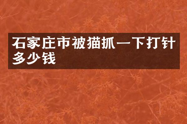 石家庄市被猫抓一下打针多少钱