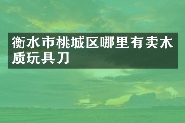 衡水市桃城区哪里有卖木质玩具刀