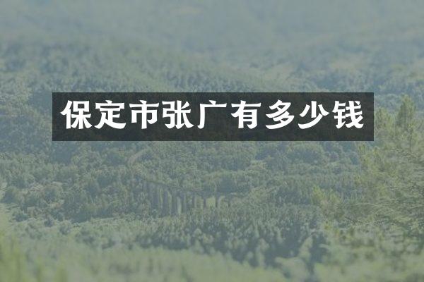 保定市张广有多少钱