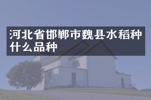 河北省邯郸市魏县水稻种什么品种