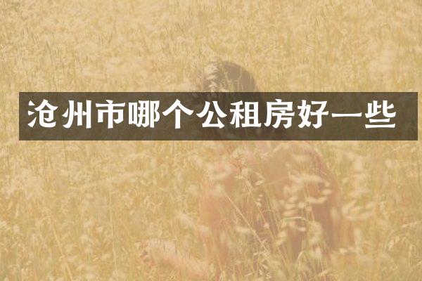 沧州市哪个公租房好一些