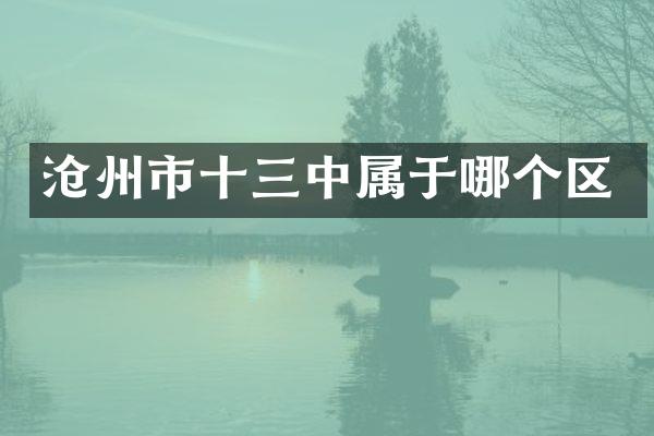 沧州市十三中属于哪个区