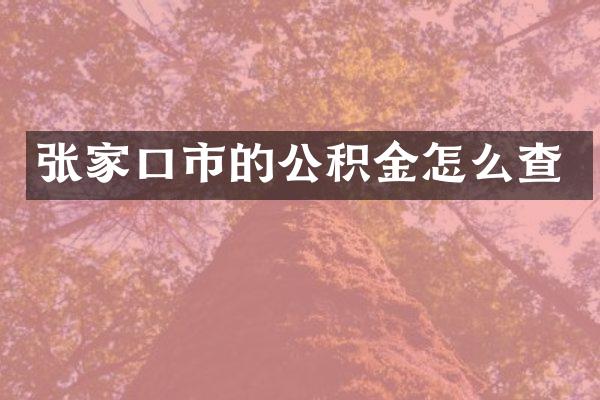 张家口市的公积金怎么查
