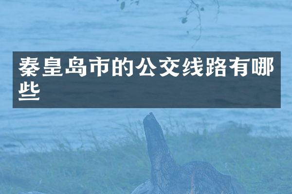 秦皇岛市的公交线路有哪些