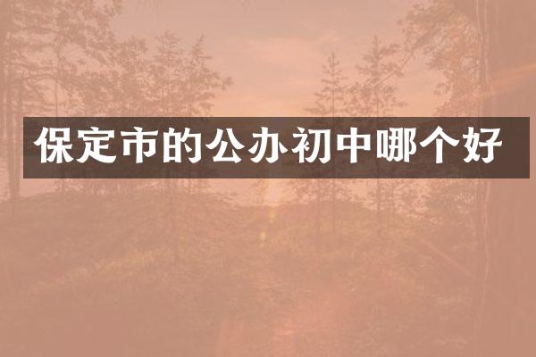 保定市的公办初中哪个好