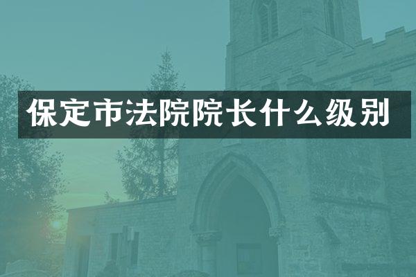 保定市法院院长什么级别
