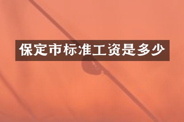 保定市标准工资是多少