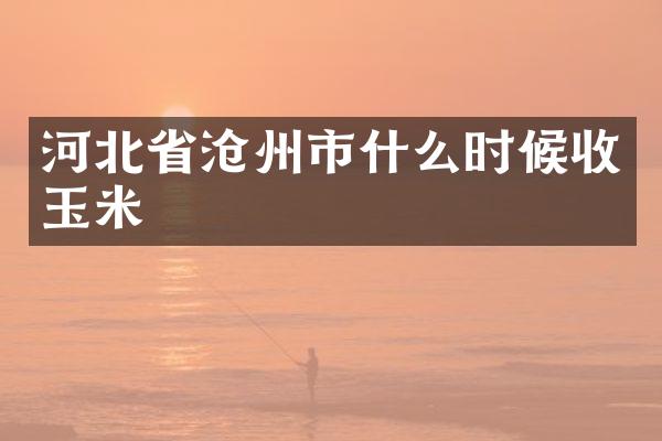 河北省沧州市什么时候收玉米