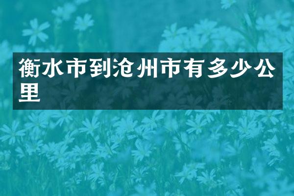衡水市到沧州市有多少公里