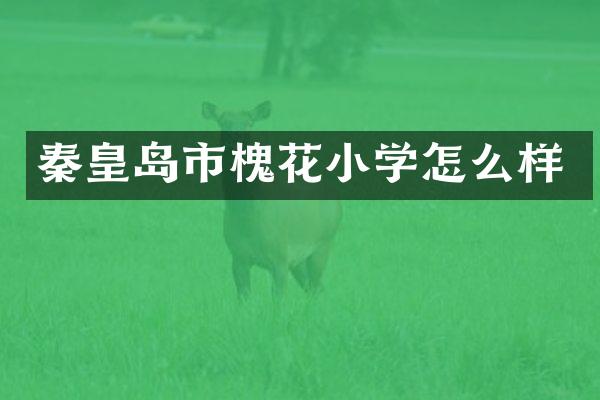 秦皇岛市槐花小学怎么样