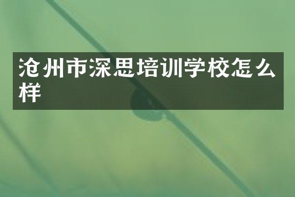 沧州市深思培训学校怎么样