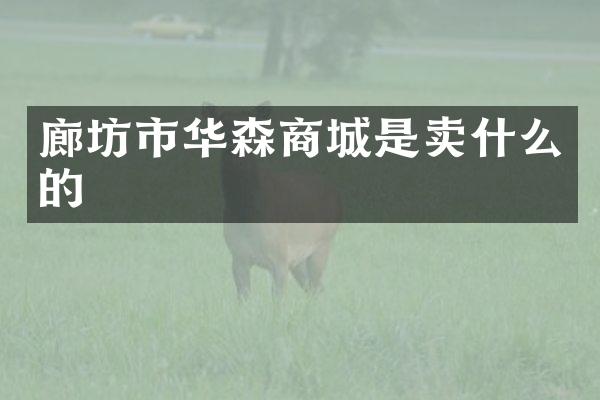 廊坊市华森商城是卖什么的