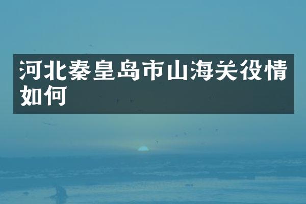 河北秦皇岛市山海关役情如何