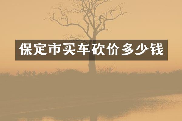 保定市买车砍价多少钱