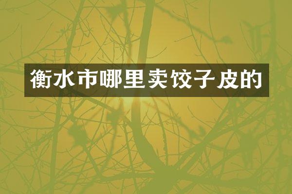 衡水市哪里卖饺子皮的
