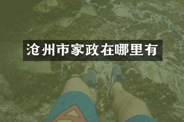 沧州市家政在哪里有