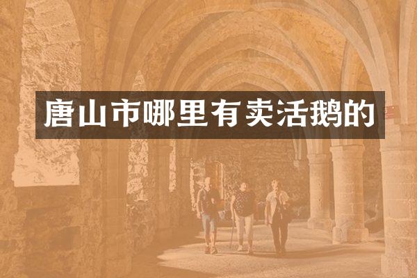 唐山市哪里有卖活鹅的