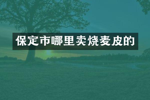 保定市哪里卖烧麦皮的