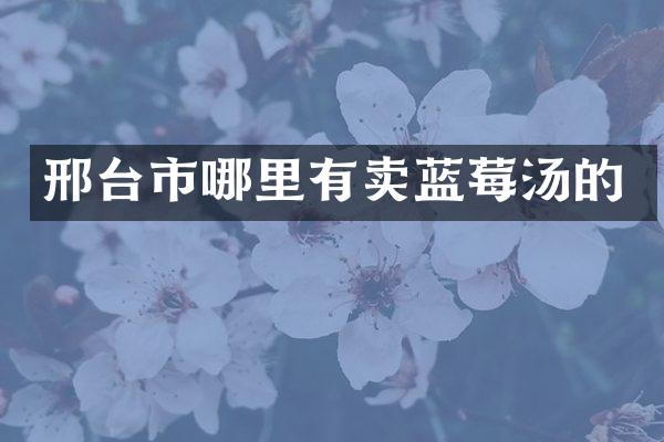 邢台市哪里有卖蓝莓汤的