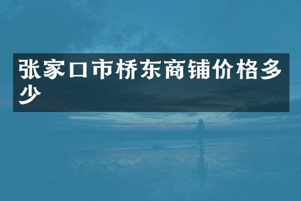 张家口市桥东商铺价格多少