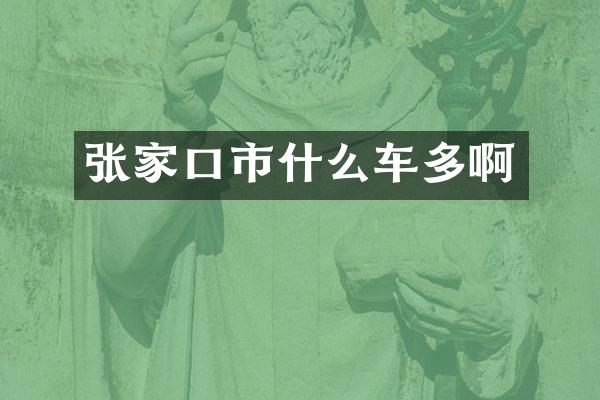 张家口市什么车多啊