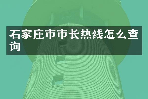 石家庄市市长热线怎么查询