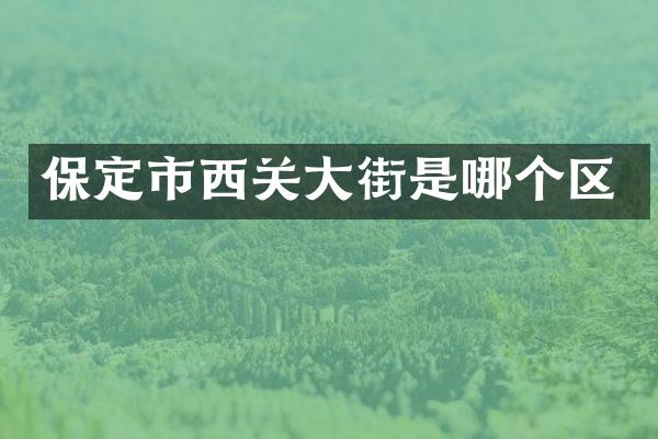 保定市西关大街是哪个区