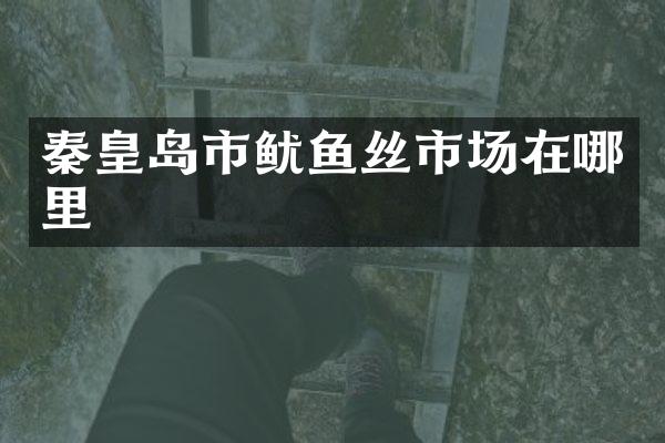秦皇岛市鱿鱼丝市场在哪里