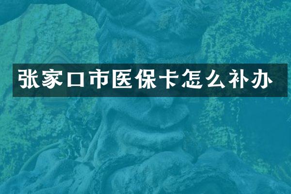 张家口市医保卡怎么补办