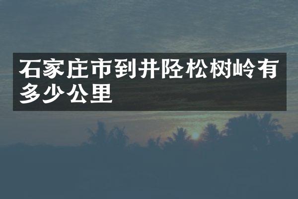 石家庄市到井陉松树岭有多少公里