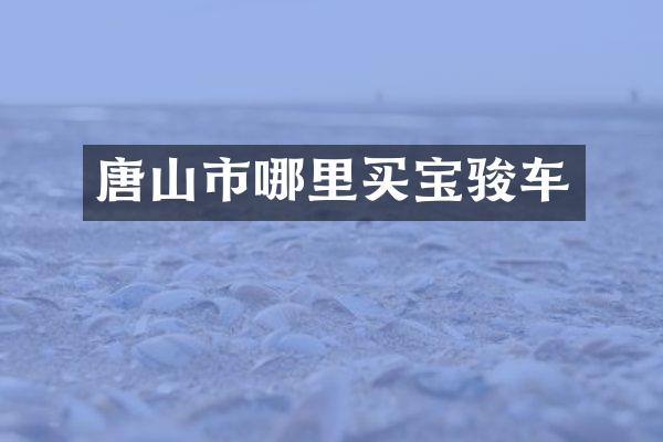 唐山市哪里买宝骏车