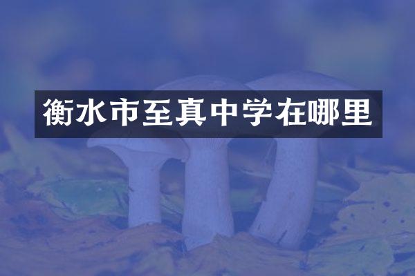 衡水市至真中学在哪里