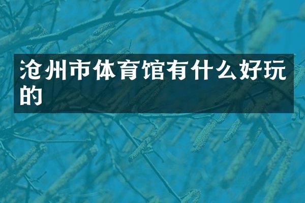 沧州市体育馆有什么好玩的