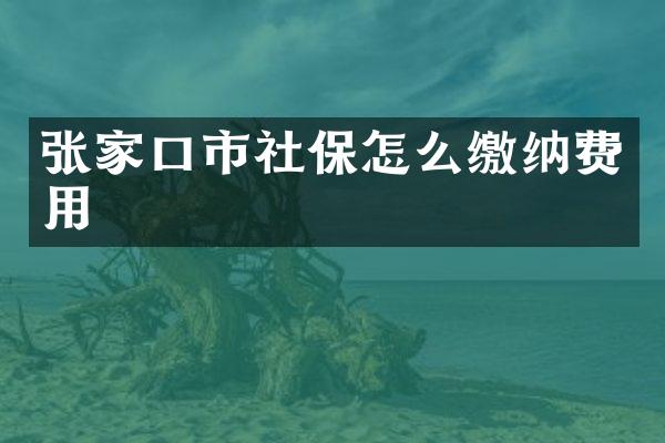 张家口市社保怎么缴纳费用